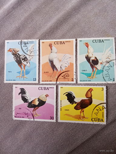 Куба 1981. Промысловая птица. Курица