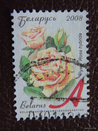 Беларусь 2008 г.