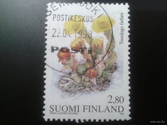 Финляндия 1998 цветы