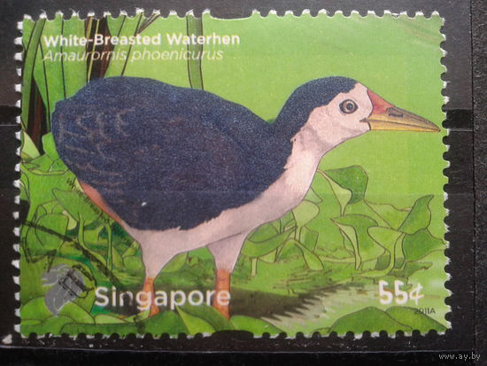 Сингапур, 2011. Птица