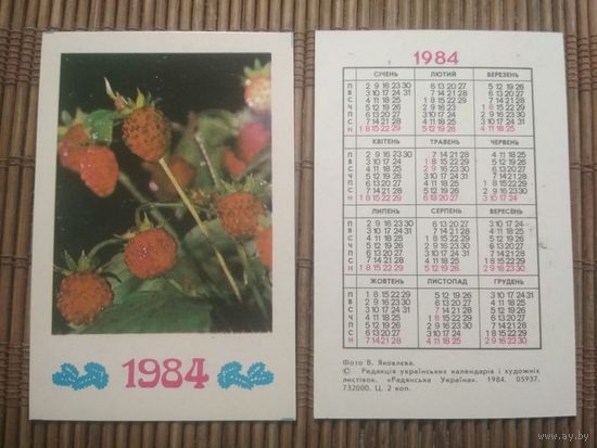 Карманный календарик.1984 год. Земляника
