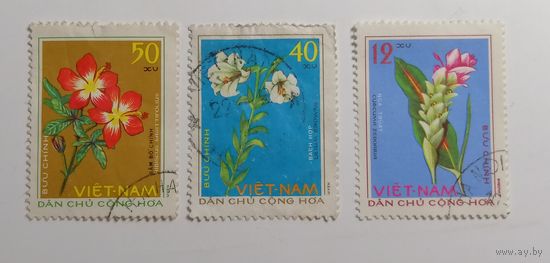 Вьетнам 1975. Медицинские растения