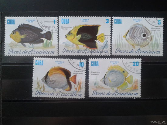 Куба 1985. Рыбы.