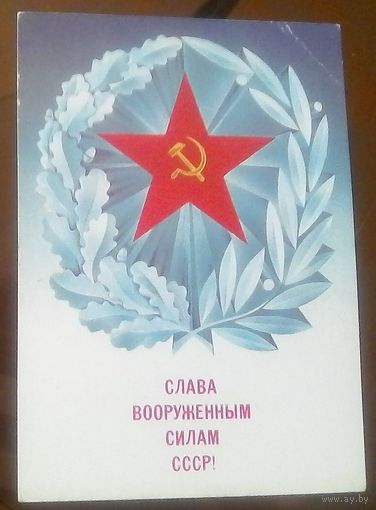 1987 год А.Любезнов Слава ВС СССР