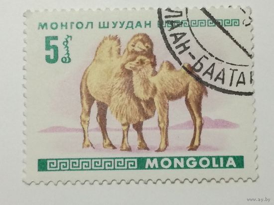 Монголия 1968. Молодые животные.