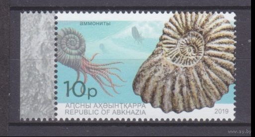 2019 Республика Абхазия 1003 Морские ракушки