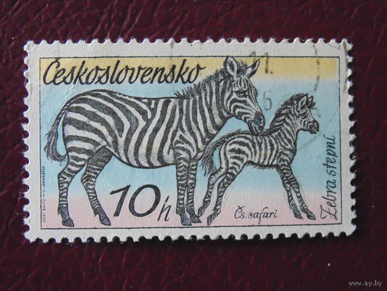 Чехословакия 1976 г. Зебры.