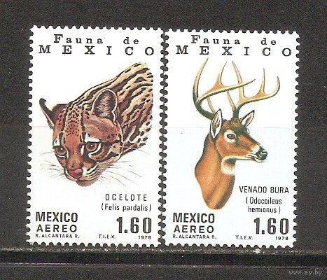 КГ Мексика 1978 Фауна