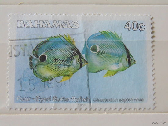 Багамы 1988 г. Рыбы.