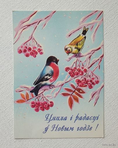 С новым годом 1998 открытка БССР 10х15 см