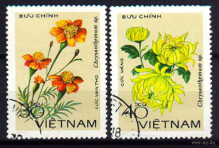 1978 Вьетнам. Хризантемы