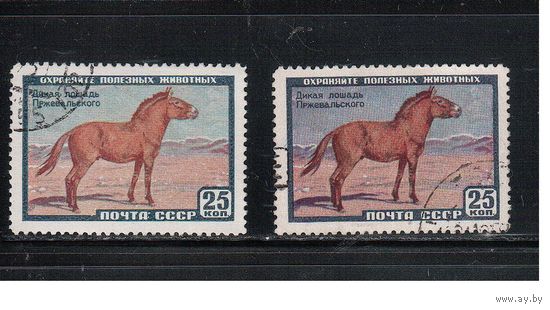 СССР-1959, (Заг.2240),   гаш.   , Фауна, Лошадь Пржевальского, оттенки цвета(3)