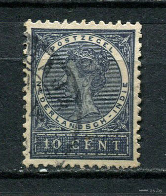 Нидерландская Индия - 1902/1906 - Королева Вильгельмина 10С - [Mi.46] - 1 марка. Гашеная.  (Лот 20Dt)