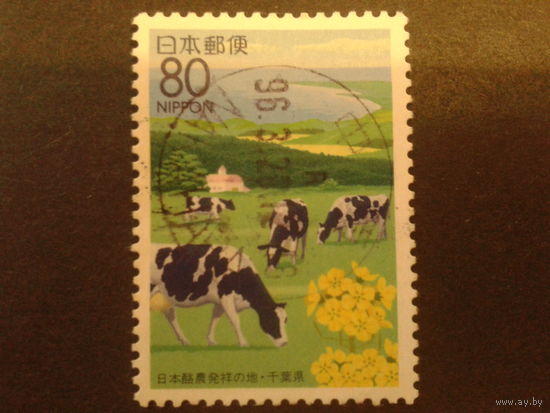 Япония 1995 коровы