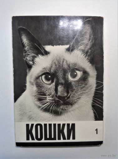 Кошки. Набор открыток. Прага