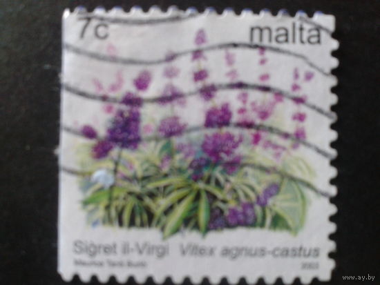 Мальта 2003 цветы