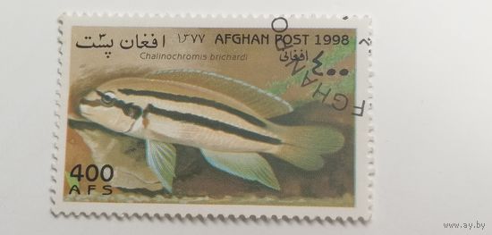 Афганистан 1998. Рыбы