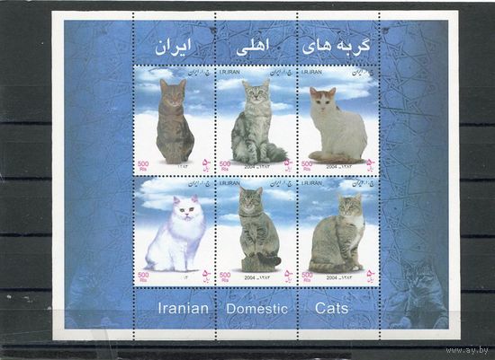 Иран. Коты. Блок