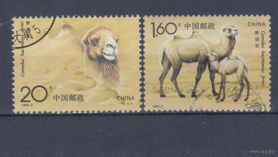 [1026] Китай КНР 1993. Фауна.Верблюд. Гашеная серия.