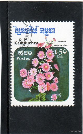 Камбоджа. Ми-677. Примула Malacoides. Серия: Цветы. 1985.