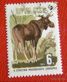 Лось. Фауна СССР 1964