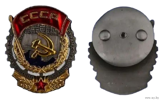 Копия Орден Трудового Красного Знамени СССР (2-й вариант)