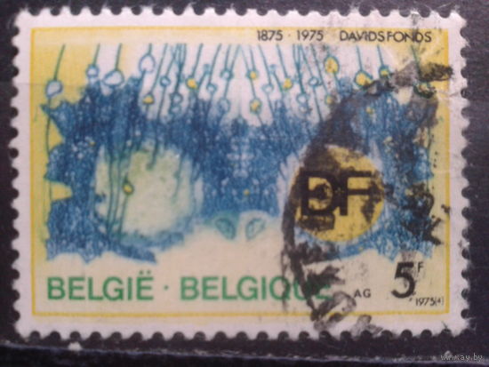 Бельгия 1975 100 лет фонду DF, символика