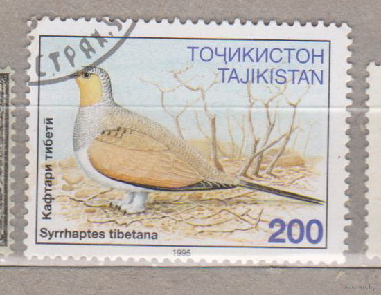 Птицы Фауна  Таджикистан  1995 год лот 1077