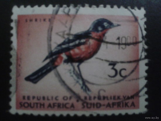 ЮАР 1961 стандарт, птица