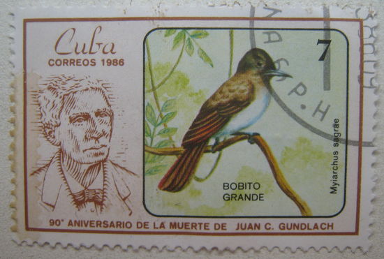 Куба марка 1986 г. 90-летие со дня смерти орнитолога Хуана К. Гундлаха