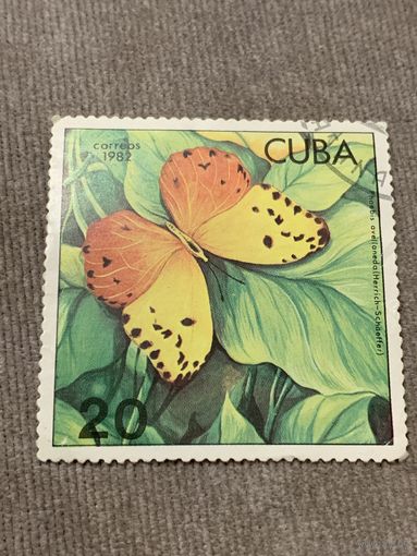 Куба 1982. Бабочки. Phoebis avelloneda. Марка из серии