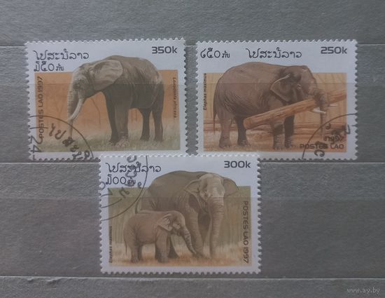 Лаос. 1997г. Слоны.