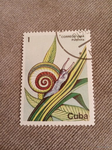Куба 1984. Улитки. Polymita