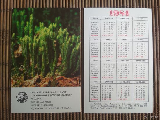 Карманный календарик.1984 год. Охраняемое растения ЛатвССР