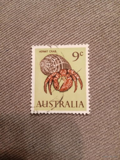 Австралия. Hermit Crab