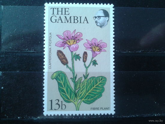 Гамбия 1977 Цветы**