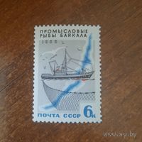 Марки СССР. 1966. Промысловые рыбы Байкала. 3401.  Марка из серии