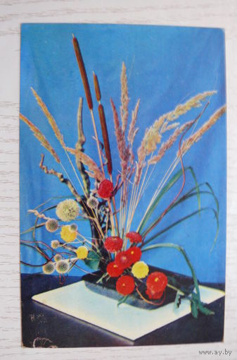 Игнатович Е., Нессонова И., Композиция из цветов; 1969, подписана (размер 9*14).