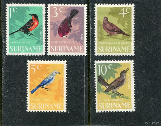 Суринам. Стандарт. Птицы