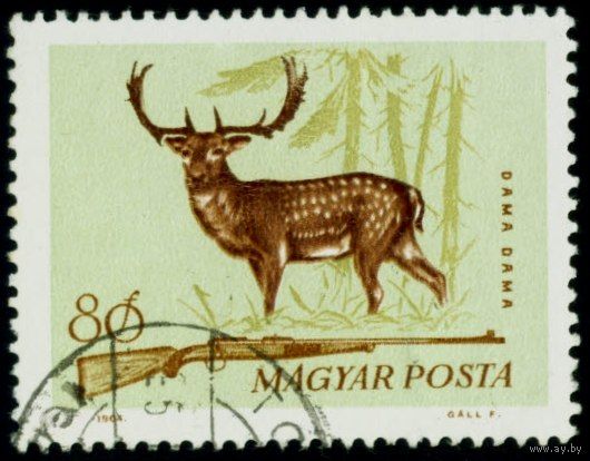 Фауна Венгрии. Животные и птицы. Охотничья серия Венгрия 1964 год 1 марка