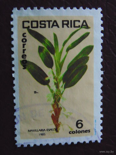 Коста-Рика 1985 г. Флора.