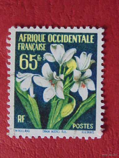 Французская Западная Африка. Цветы.
