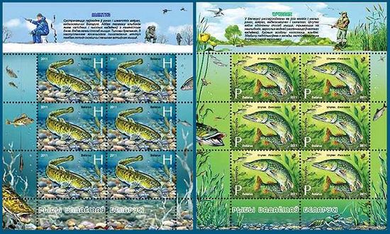 2011 Беларусь 870-871 Фауна. Рыбы (2 МЛ)**