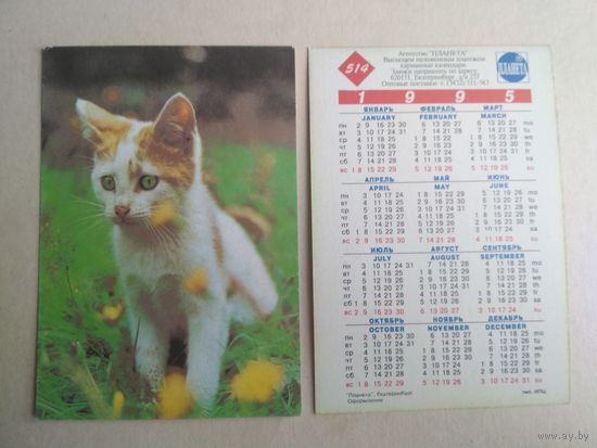 Карманный календарик.Кошки.1995 год