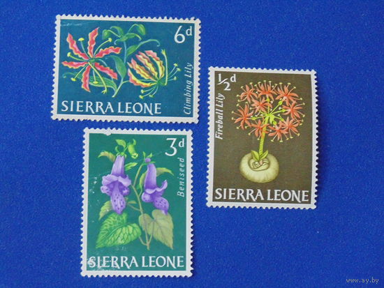Сьерра-Леоне. Цветы.