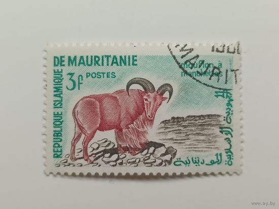 Мавритания 1960. Местные мотивы. Муфлон