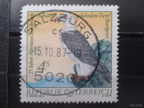 Австрия 1987 Птица