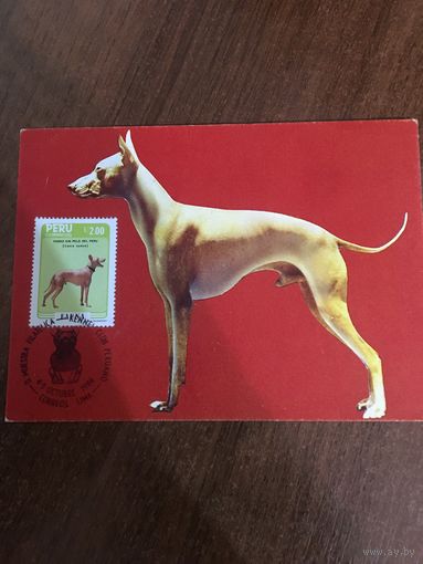 Перу 1986. Картмаксимум. Собаки