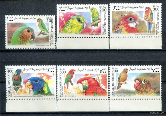 Сомали - 1999г. - Попугаи - полная серия, MNH - 6 марок