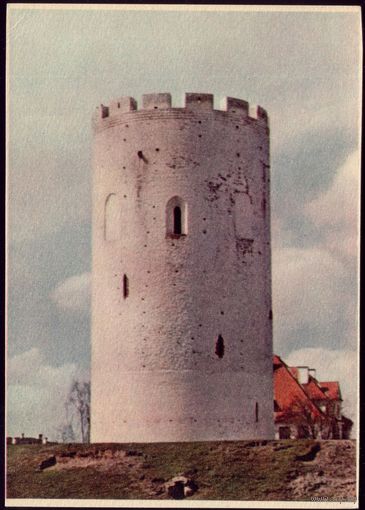Белая Вежа